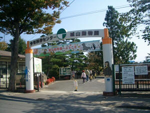 ��R������